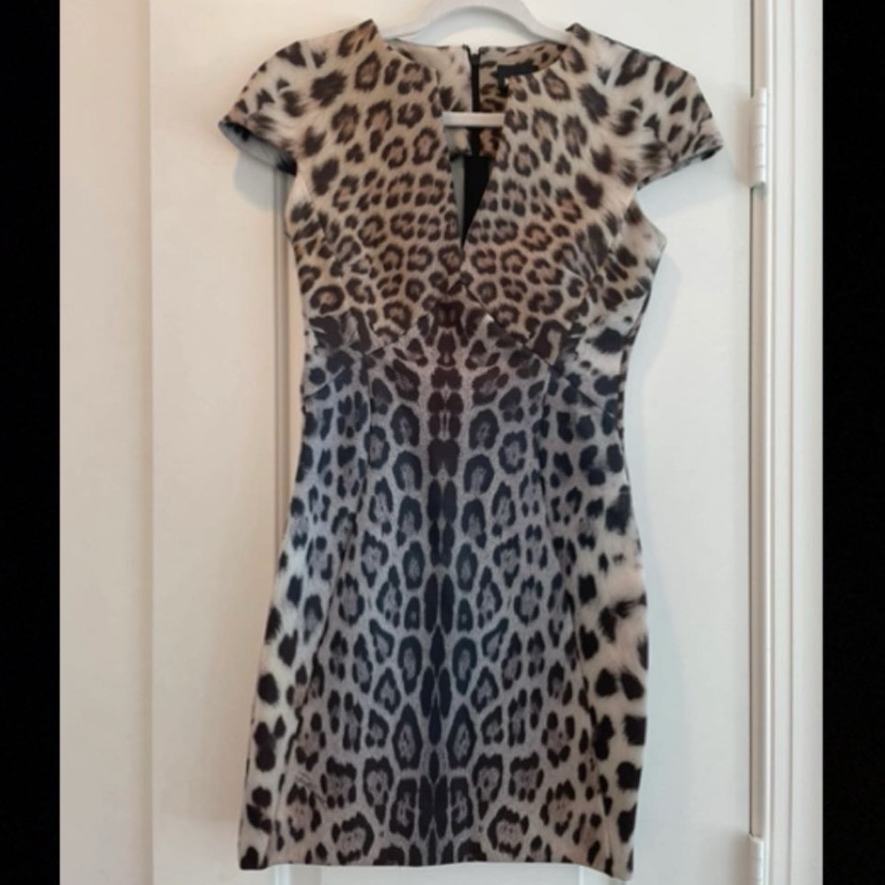 Roberto Cavalli Animal Print Mini Dress